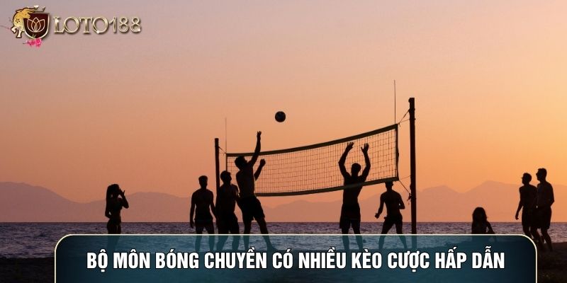 Bộ môn bóng chuyền có nhiều kèo cược hấp dẫn