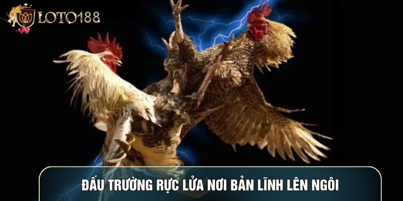 Đấu trường rực lửa nơi bản lĩnh lên ngôi
