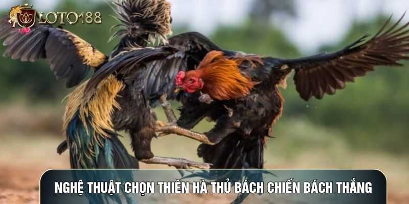 Nghệ thuật chọn thiên hà thủ bách chiến bách thắng